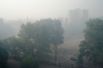 6 место: жара в России летом 2010 года — 55 736 жертв. Аномальная погода стала одной из причин лесных пожаров, сопровождавшихся сильным смогом.