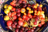 Осенние фрукты и ягоды польза thumbnail
