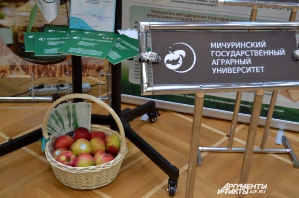 Мичуринский удивил яствами: каждый сельсовет, помимо множества угощений, привез свои фирменные яблоки
