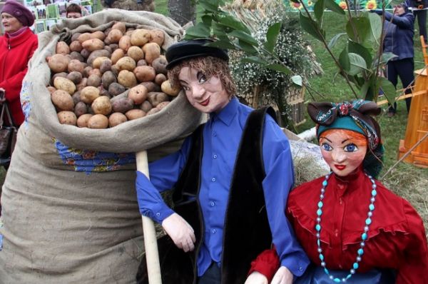 Главный продукт, которым славится Тамбовщина, – картофель. 