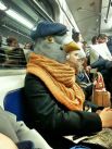 Ничего необычного, просто голубь едет на работу в метро. Можно предположить, что едет он в департамент по обгаживанию людей