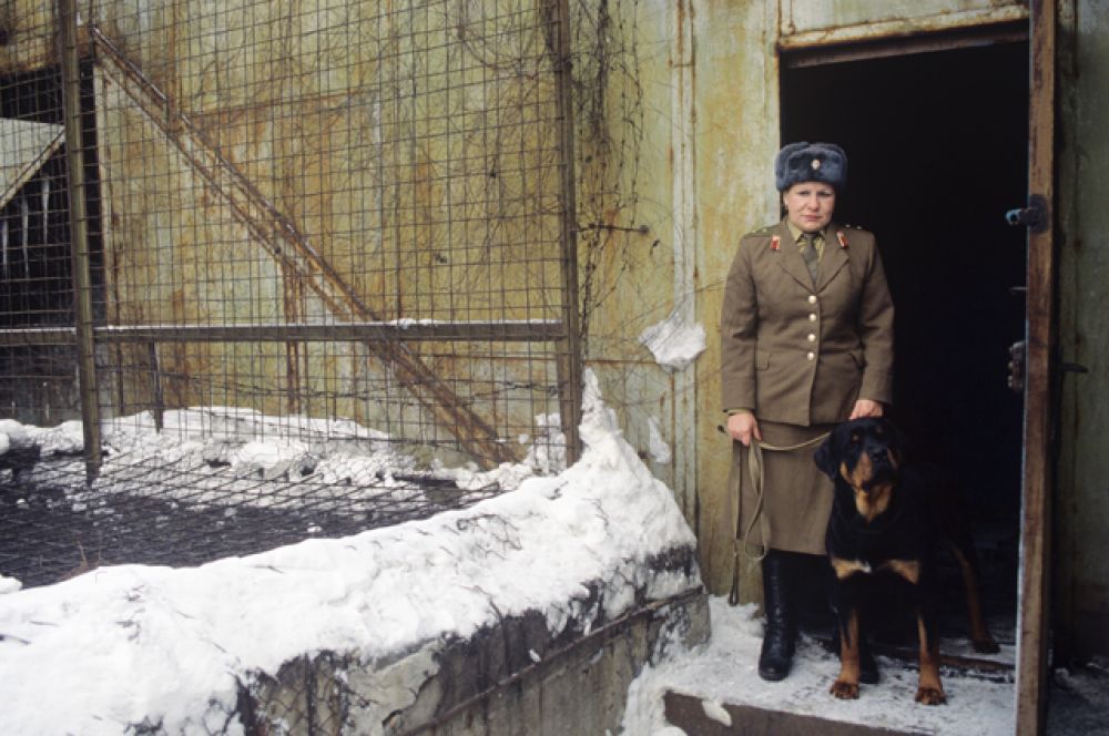 «Полярная сова» — исправительная колония особого режима для пожизненно осужденных в поселке Харп (Ямало-Ненецкий автономный округ). Режимный поселок Харп был образован в 1961 году при строительстве Трансполярной магистрали. Ядром нового поселка стал лагерь для заключенных, работавших над прокладкой железной дороги. Впоследствии лагерь был преобразован в колонию особого режима для особо опасных рецидивистов.