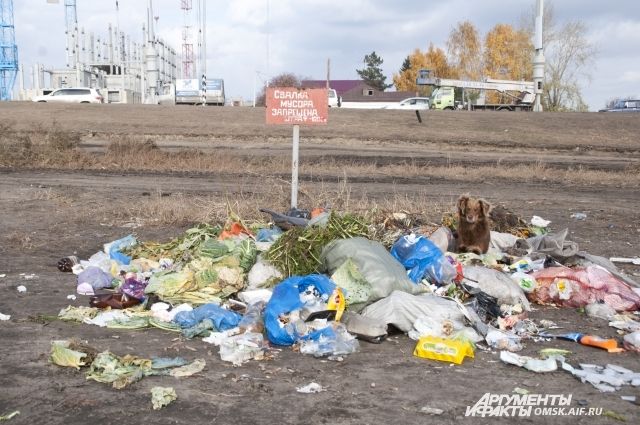 В НСО планируют посторить два мусоросортировочных завода