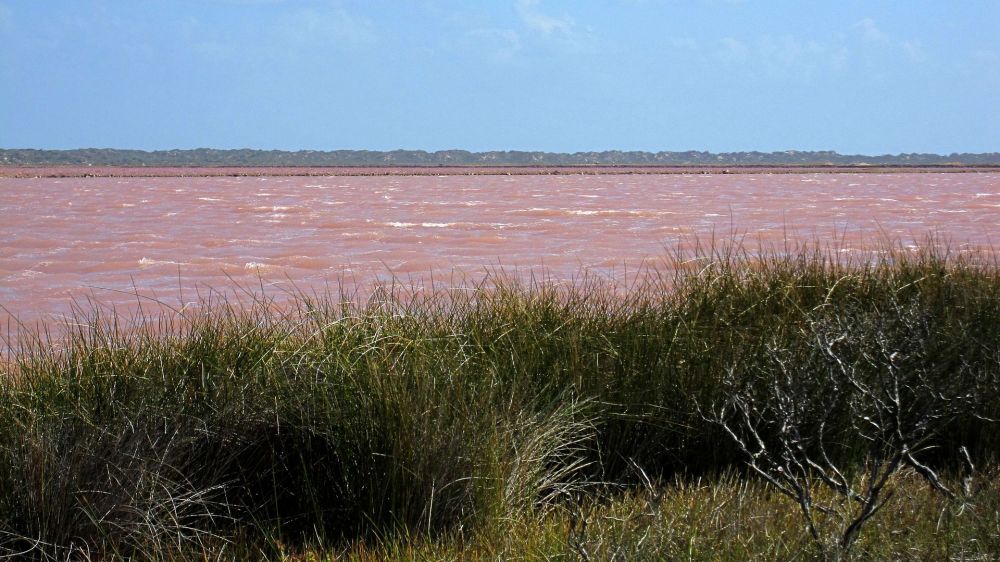 Лагуна Хатт – солёное озеро, расположенное недалеко от побережья к северу от устья реки Хатт, на среднем западе Западной Австралии. Оно находится в дюнах, прилегающих к побережью.