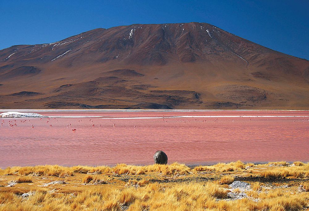 Лагуна-Колорадо – минеральное озеро, расположенное в национальном заповеднике Эдуардо Авароа в юго-западной части Боливии недалеко от границы с Чили. 