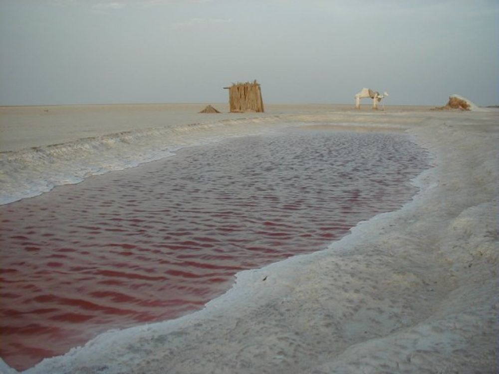 В центральном Тунисе расположено одно из самых крупных соленых озер – озеро Шотт-эль-Джерид. 