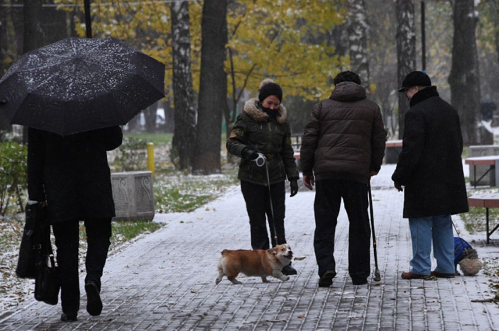 Люди выгуливают собак в одном из парков в Москве.