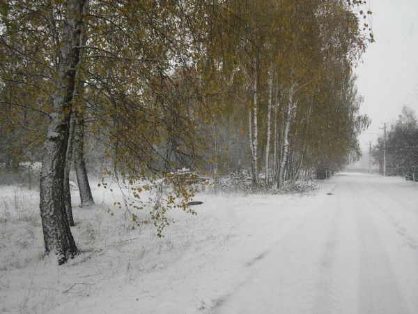 Конечно же в поселках выпало снега больше, чем в самом Чернигове. Северная часть Украины отличилась по выпадению снега больше, чем остальные области