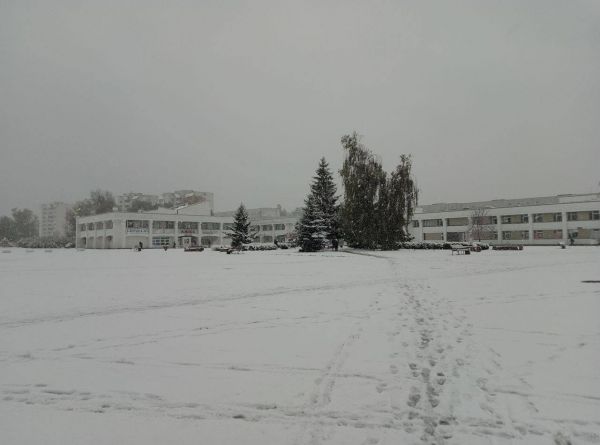 Откуда эта фотография, мы не знаем, но смеем предположить, что явно из одной из северных областей Украины