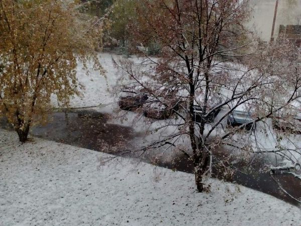 А это фото родом из Черниговщины
