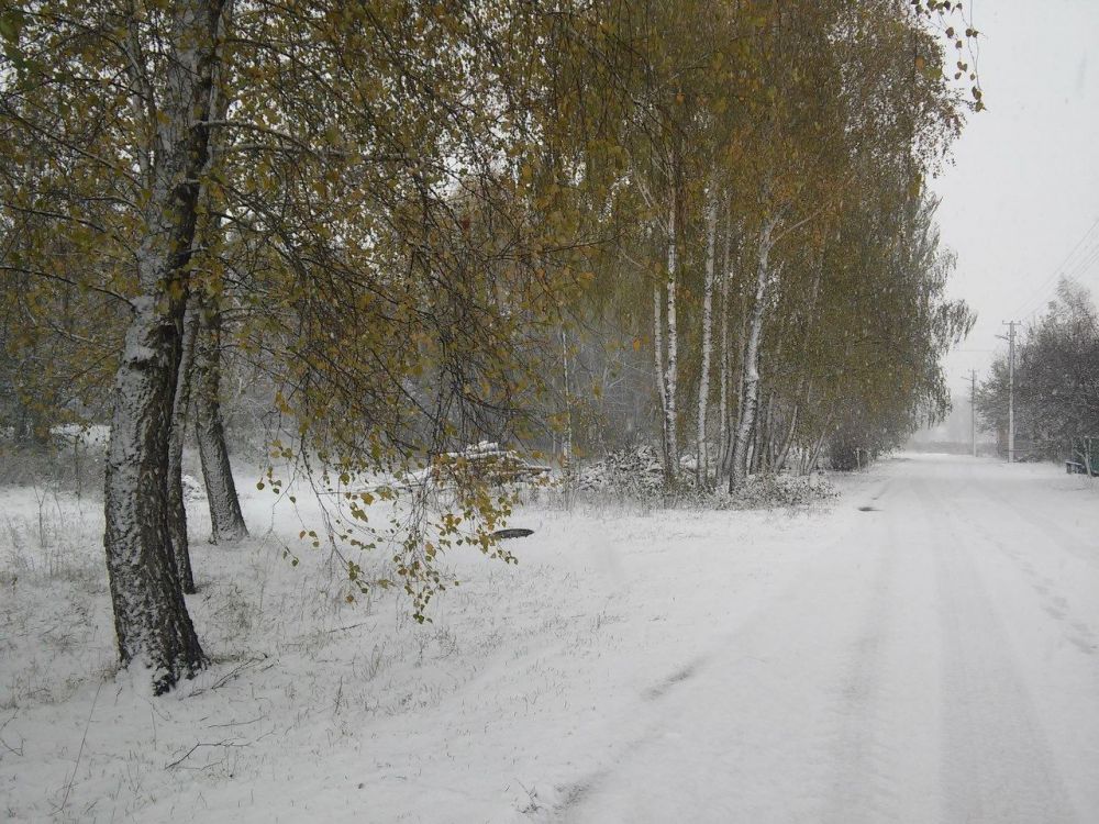 Конечно же в поселках выпало снега больше, чем в самом Чернигове. Северная часть Украины отличилась по выпадению снега больше, чем остальные области