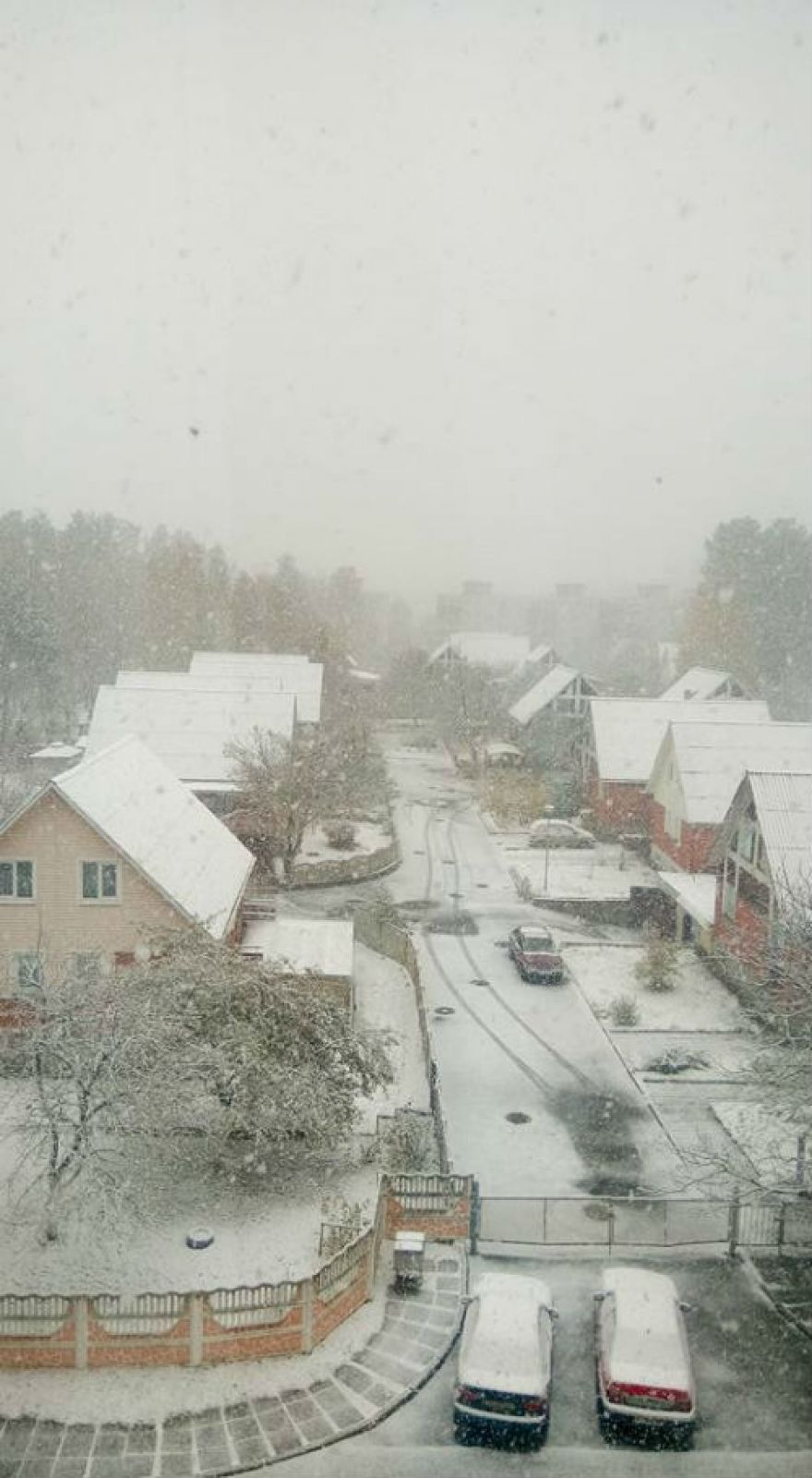 Еще одно фото со Славутича. Красиво засыпало