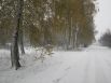 Конечно же в поселках выпало снега больше, чем в самом Чернигове. Северная часть Украины отличилась по выпадению снега больше, чем остальные области