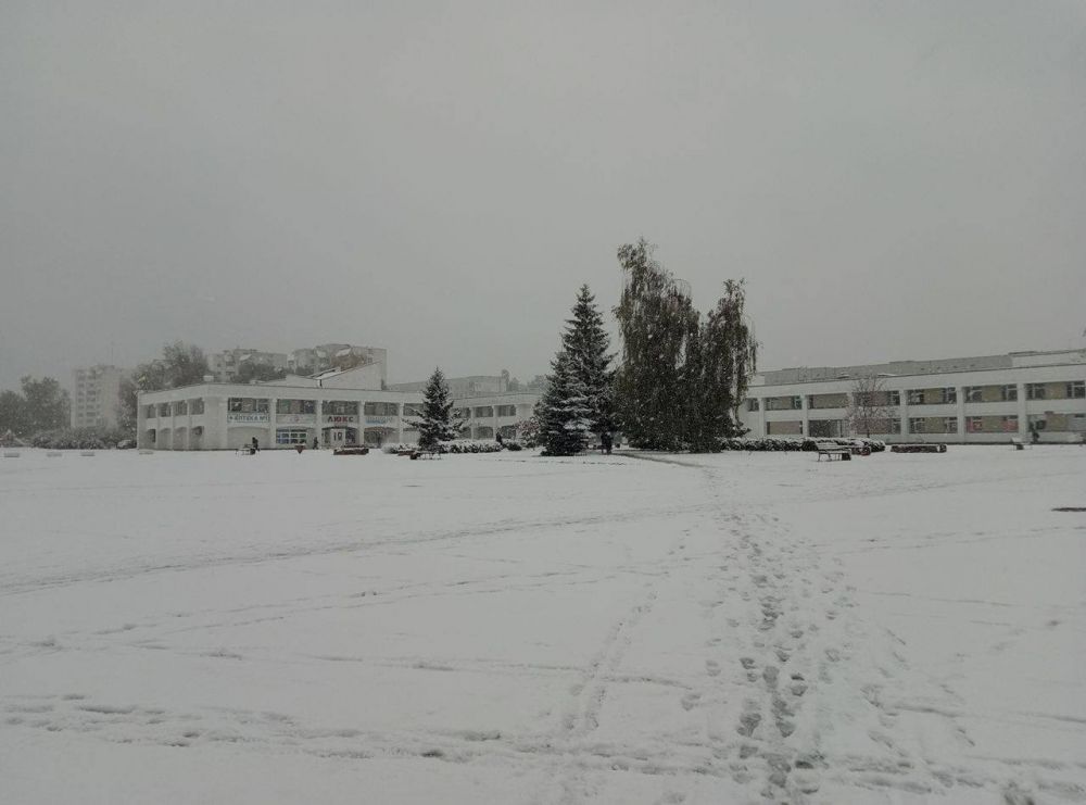 Откуда эта фотография, мы не знаем, но смеем предположить, что явно из одной из северных областей Украины