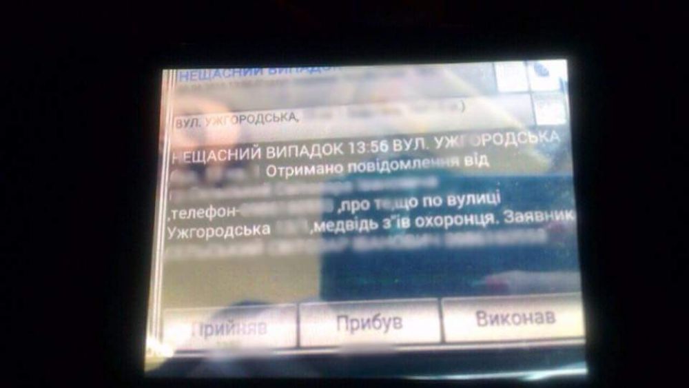 Прямо посреди бела дня. Медведю грозит тюремное заключение за проявления каннибализма