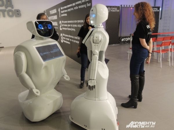 Робот Алантим и Кики общаются друг с другом.