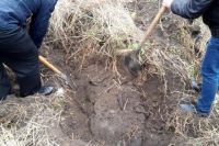 Правоохранители нашли тело погибшего