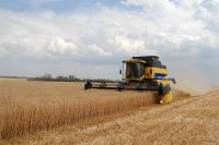 Аграрии района намолотили более 200 тысяч тонн зерна