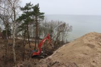 1 млн рублей штрафа заплатит сотрудник стройфирмы за вырубку в Светлогорске.