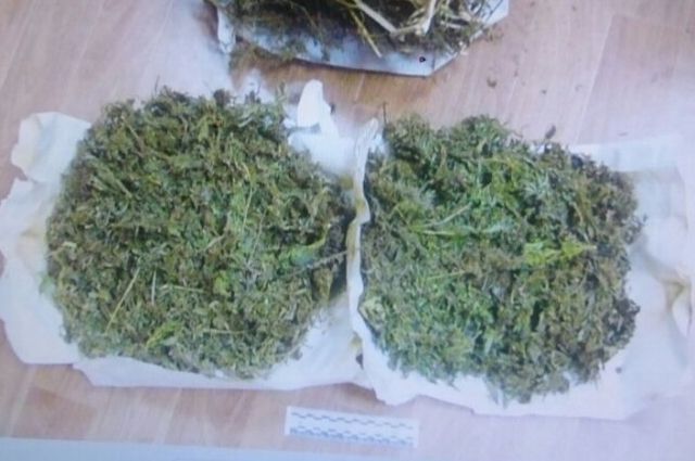 1 кг марихуаны фото курс лечения от конопли