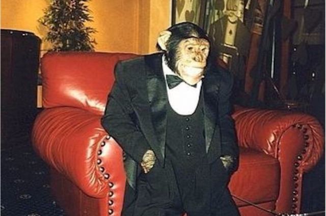 Шимпанзе Джон.