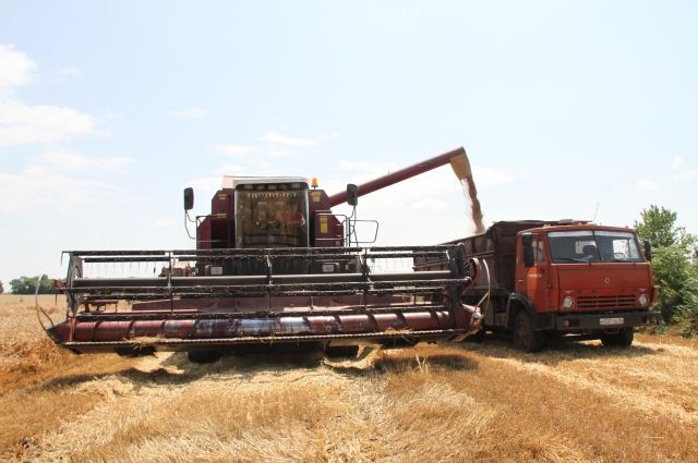 В этом году труженики СПК вырастили и собрали более 40 тысяч тонн зерновых, зернобобовых и масличных культур.