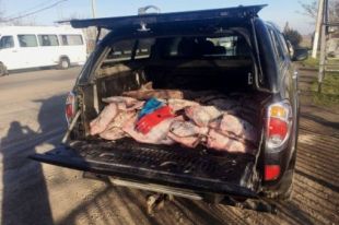 Камбала в багажнике