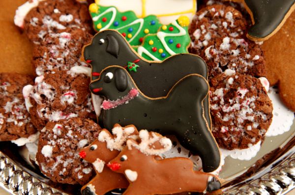 Рождественское печенье в виде собак Обамы Санни и Бо.