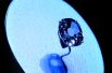 Еще один бриллиант необычного голубого цвета весом 35,56 каратов «Виттельсбах» был продан в 2008 году за $23 млн, и это самый дорогой драгоценный камень за всю историю аукционного дома Christie’s. Голубой бриллиант в качестве приданого принесла с собой Мария Амалия Австрийская, вышедшая в 1772 году замуж за баварского курфюста Карла Альбрехта. Долгое время он украшал корону баварских государей, но после Первой мировой войны был утерян, и только во времена Великой депрессии всплыл в частной коллекции.