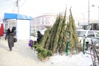 Ёлку в Иркутске можно будет купить и 31 декабря.