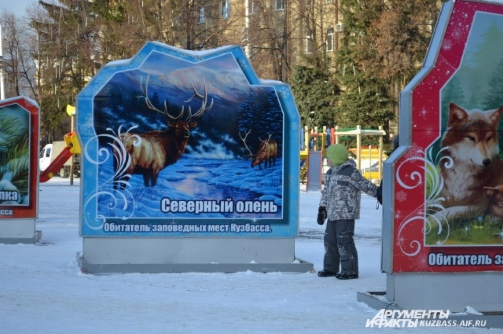 Так как темой стали кузбасские заповедники, власти решили рассказать кемеровчанам и гостям города не только о животных, населяющих наш регион, но и о природных памятниках.