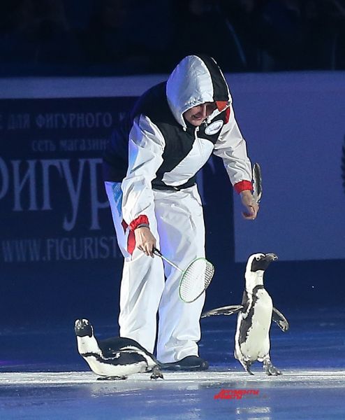 Символы чемпионата - живое воплощение.