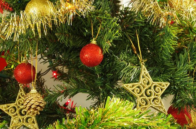 В Первомайском районе у сельской учительницы украли новогоднюю елку