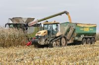 В Северо-Западном федеральном округе область – абсолютный лидер в производстве зерна и рапса.