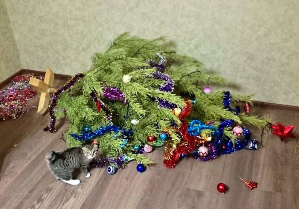 Кажется, в этом доме кому-то нельзя доверять…