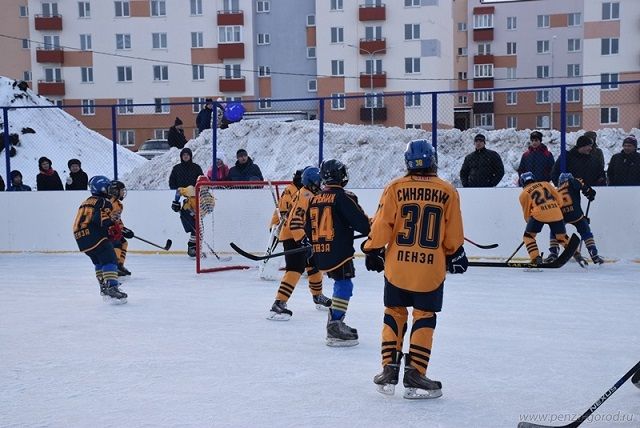 Дворовые команды Октябрьского района города Пензы приняли участие в хоккейном турнире, который прошел в рамках общероссийского проекта «Детский спорт».