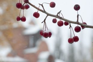 Через несколько дней в Омске потеплеет.