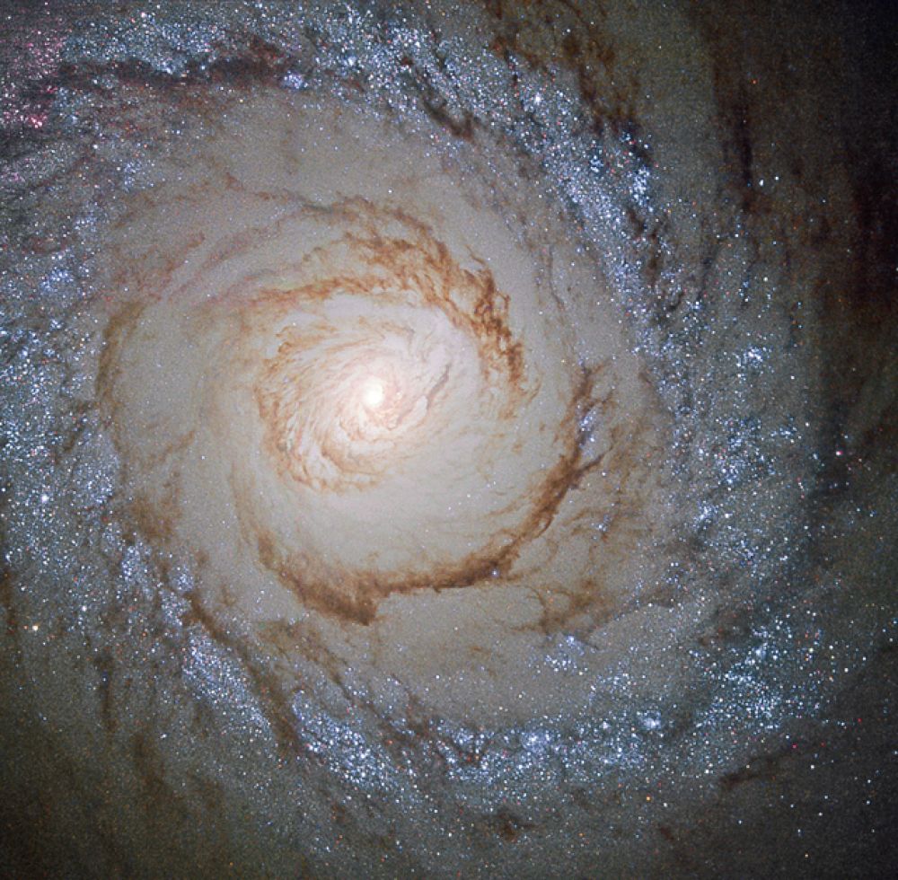 Галактика Messier 94, которая находится в маленьком северном созвездии Гончих Псов, около 16 миллионов световых лет от Земли.