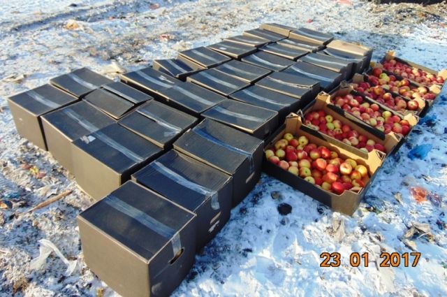 На оптовом рынке Ленинского района Красноярска нашли 718 кг санкционных фруктов.