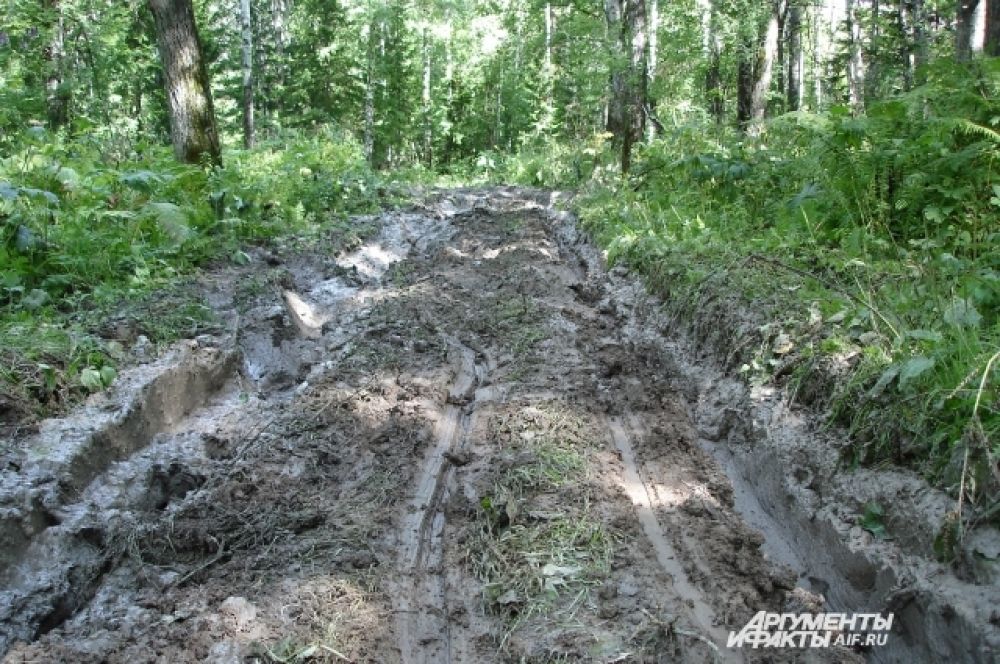 Кемеровская область - этому региону средства на строительство дорог решили не выделять.