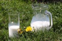 В Год животноводства приоритетным станет развитие молочного производства.