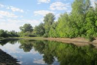 Спасение жемчужины Волгоградской области - Волго-Ахтубинской поймы - это общая задача власти и экологов.