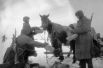 Этими же лаптями советские бойцы кормили лошадей.