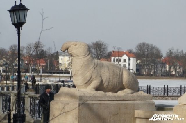 Памятник интернет-мему «Ждун» обнаружили в Калининграде.