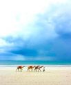 Еще одно фото из конкурса от National Geographic, в котором явно чувствуется минималистический стиль и нестандартное построение композиции. Автору фото всего 12 лет!
