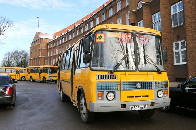 31 автобус для перевозки детей получили калининградские школы.