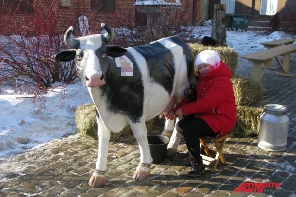 Фото с коровой на память о празднике.
