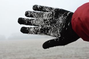 В мороз учиться лучше дома