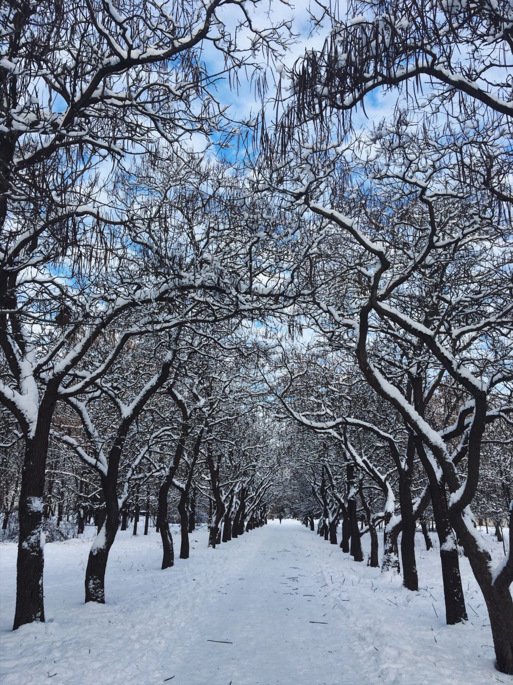 Зима в симферополе фото