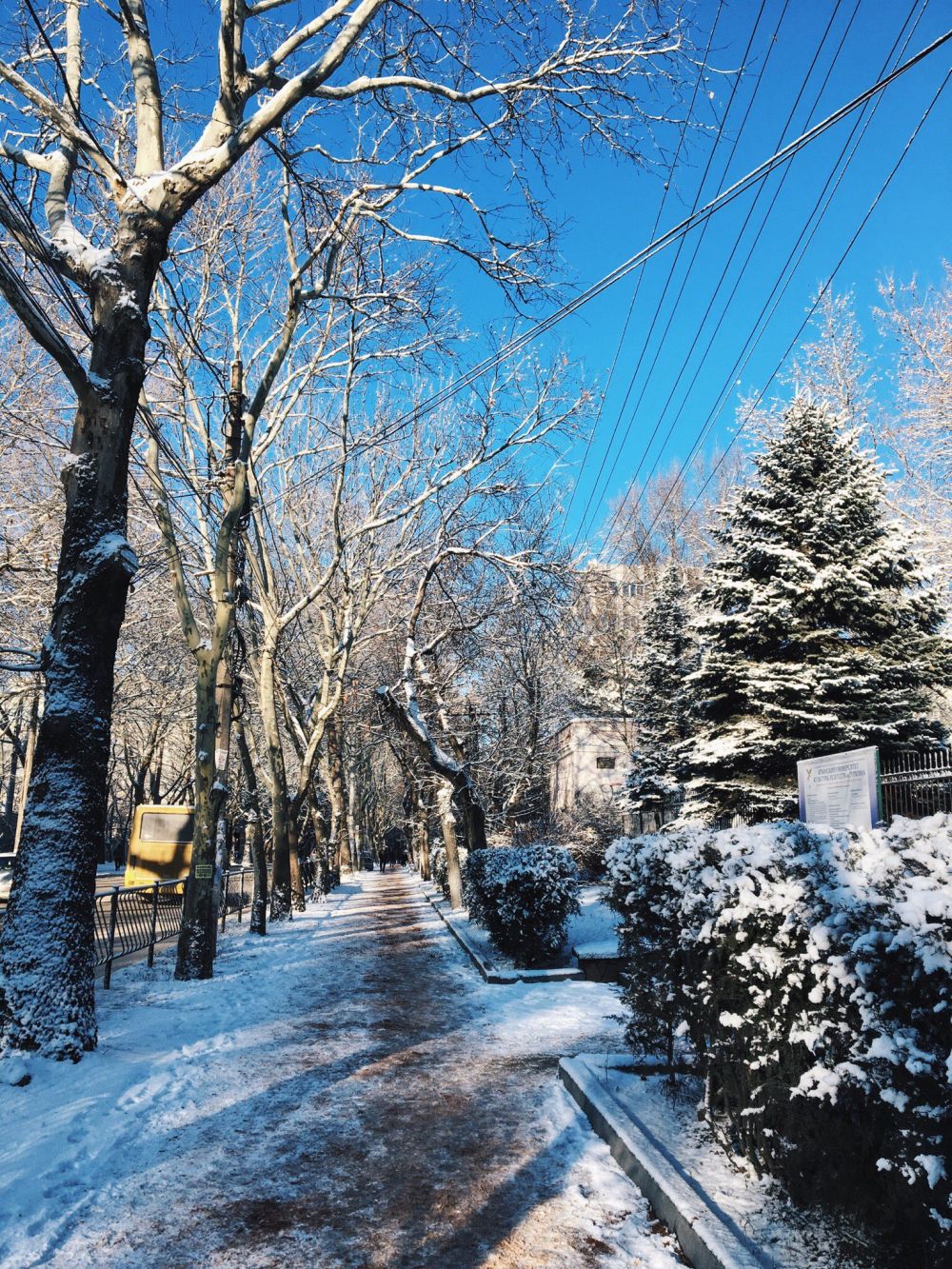 Зима в симферополе фото